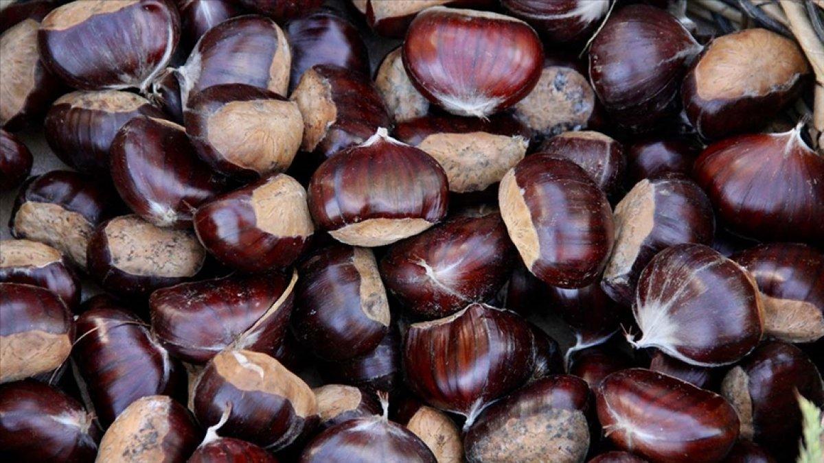 Kestane ihracatı iç piyasada fiyatları artırdı