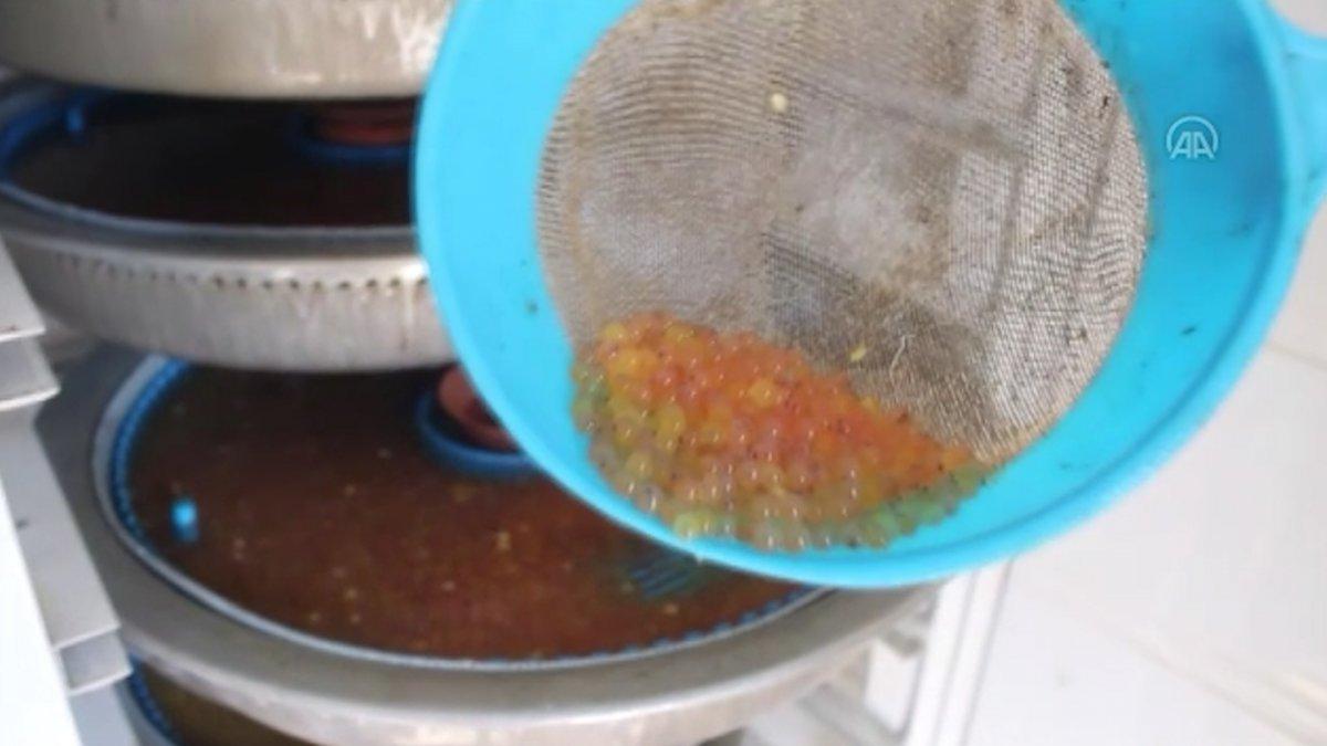 Denizi olmayan Doğanşehir’de yıllık 500 ton balık üretiliyor