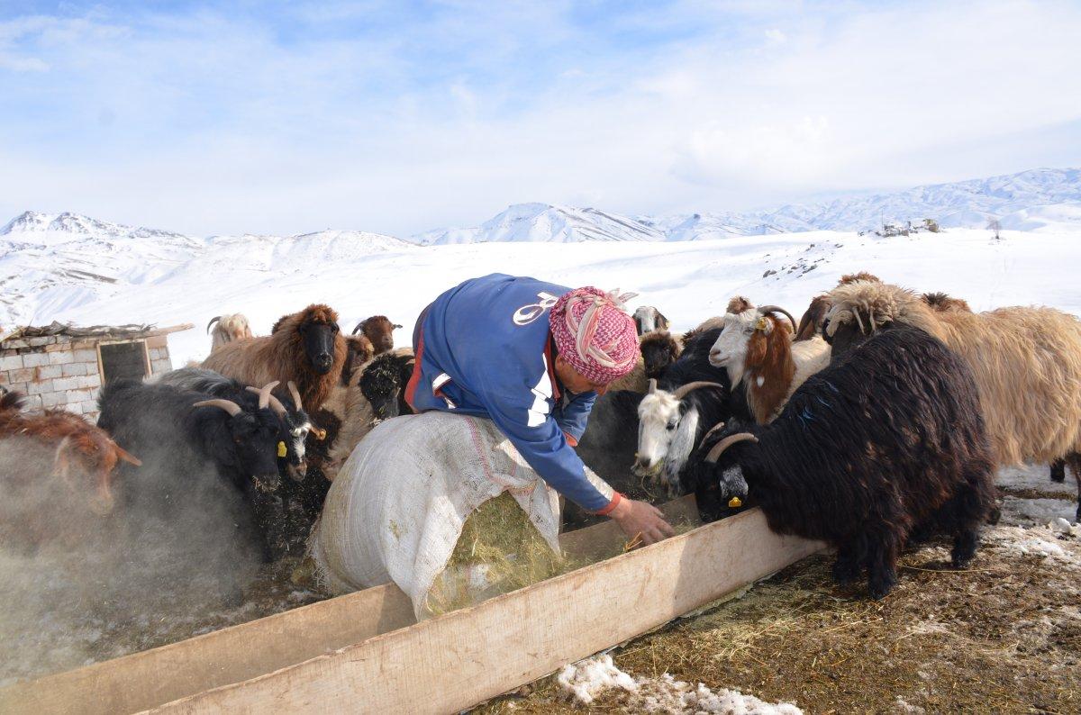 Şırnak'taki adam, 4 yıldır eksi 30 derece olan yaylada yaşıyor