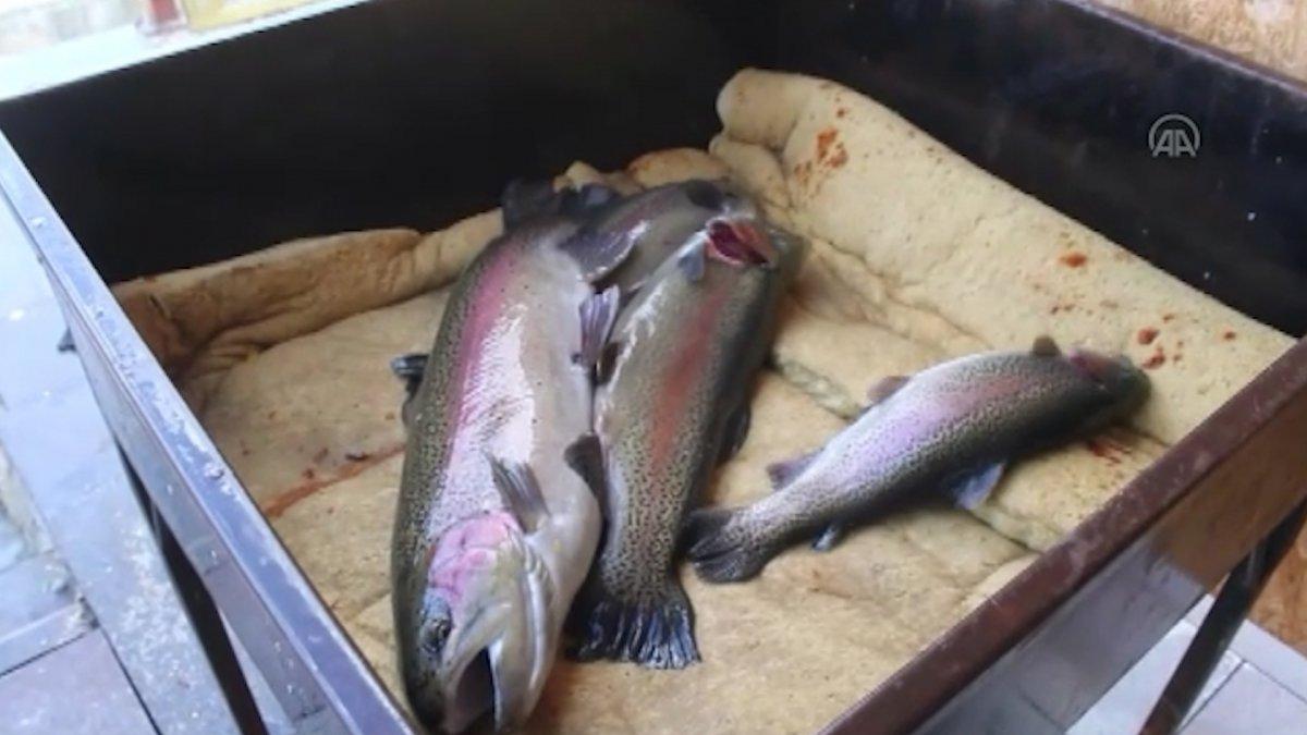 Denizi olmayan Doğanşehir’de yıllık 500 ton balık üretiliyor