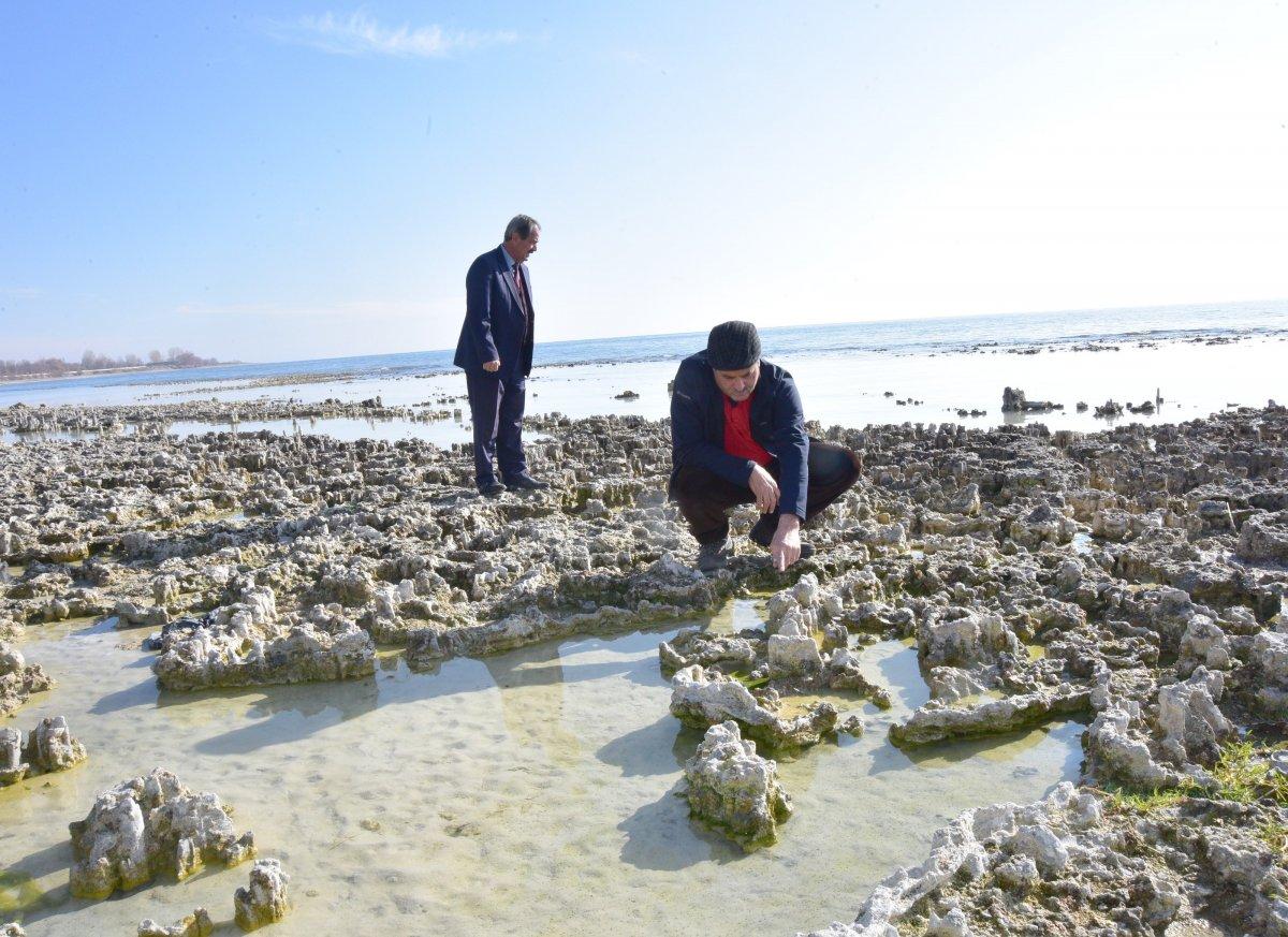 Van Gölü’nde yeni mikrobiyalitler ortaya çıktı