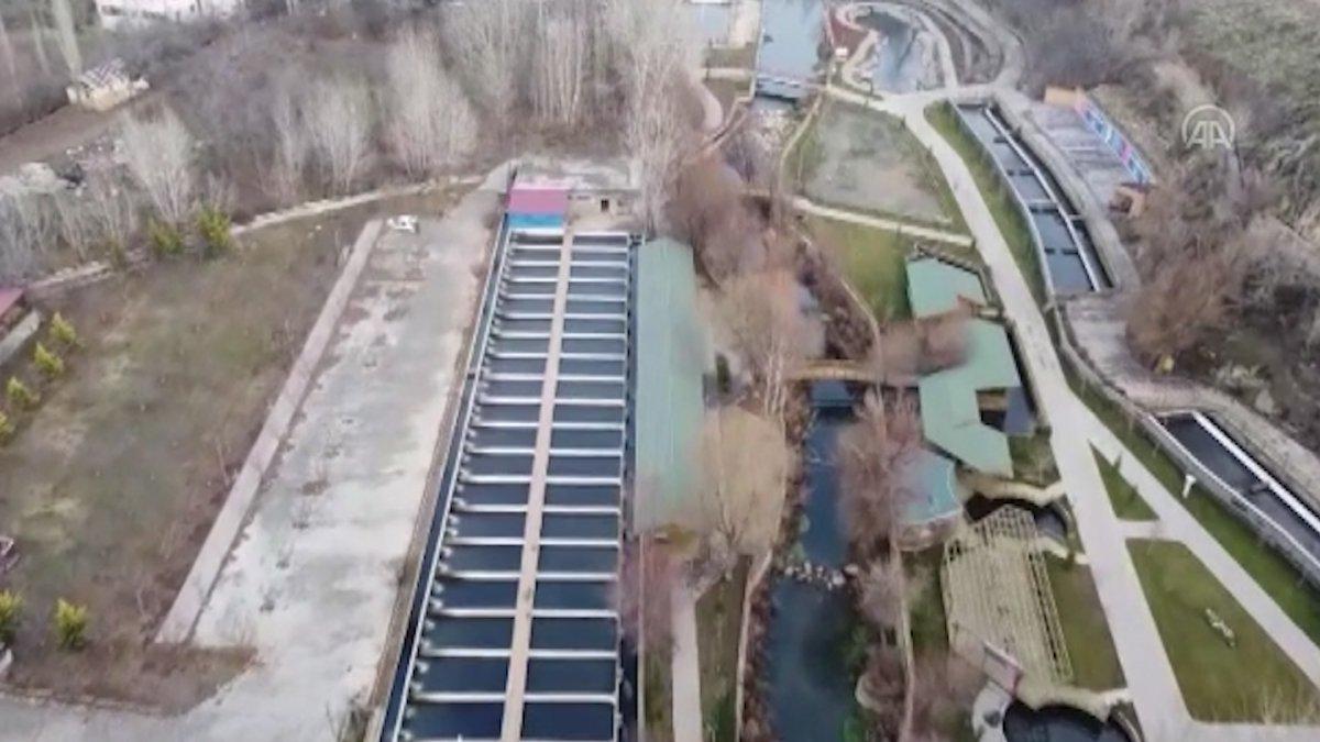 Denizi olmayan Doğanşehir’de yıllık 500 ton balık üretiliyor