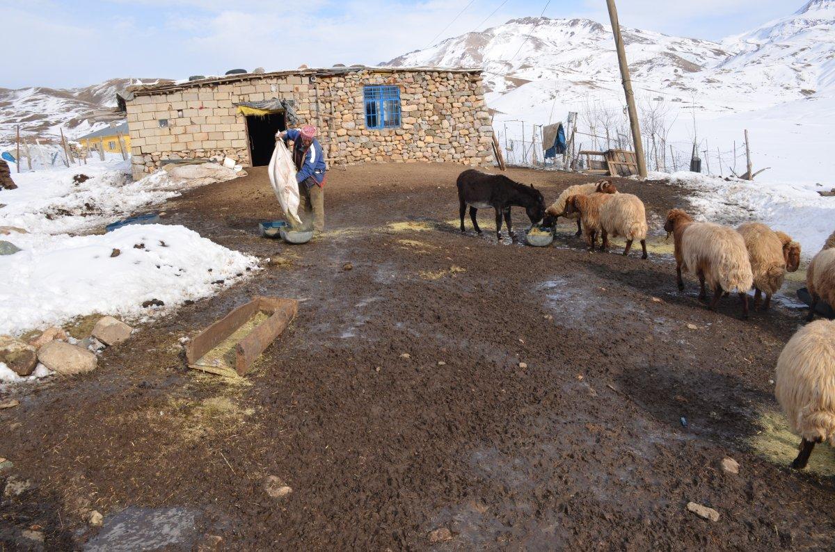 Şırnak'taki adam, 4 yıldır eksi 30 derece olan yaylada yaşıyor