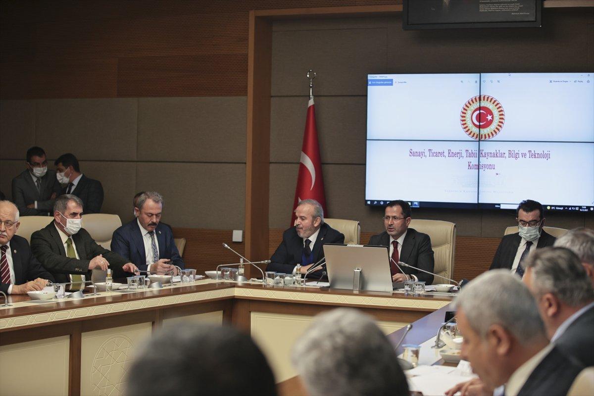 Stokçuluk, LPG rafinecileri ve limanlara ilişkin düzenleme, Komisyon'da