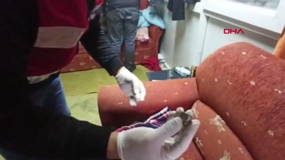 Antalya’da, iş yerine yapılan operasyonda silahlar ele geçirildi