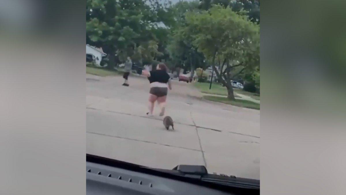 Rakundan kaçarken tepetaklak düşen kadın