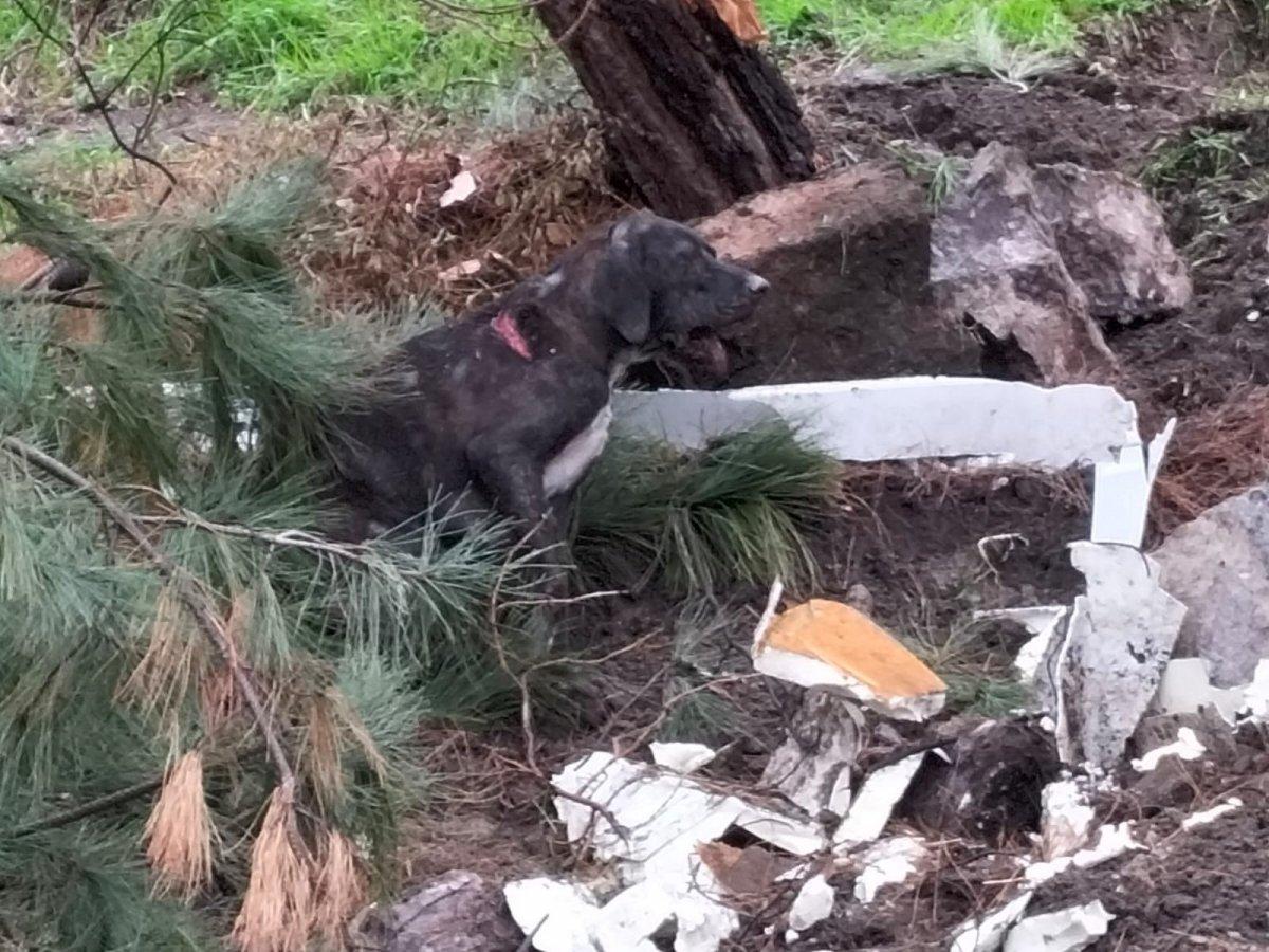 Osmancık Kalesi’nden kaya parçaları kopuyor