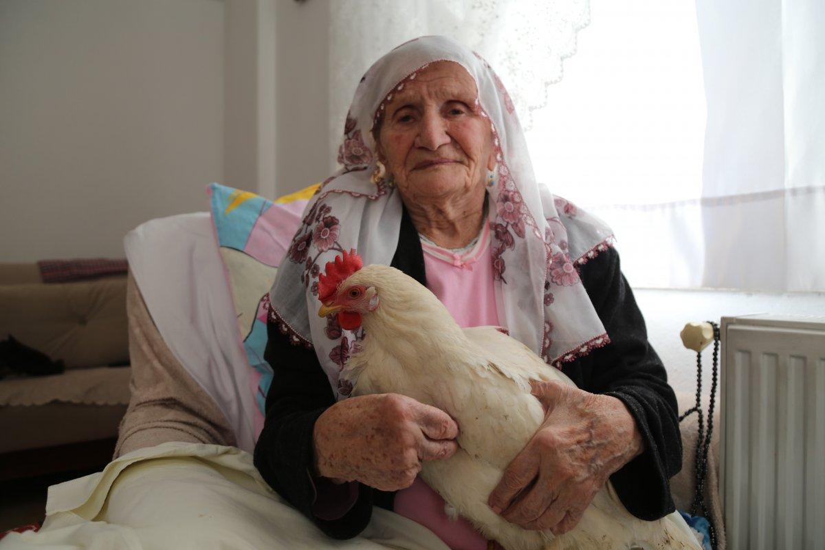 Artvin'de hastalanan annelerine tavukla moral veriyorlar