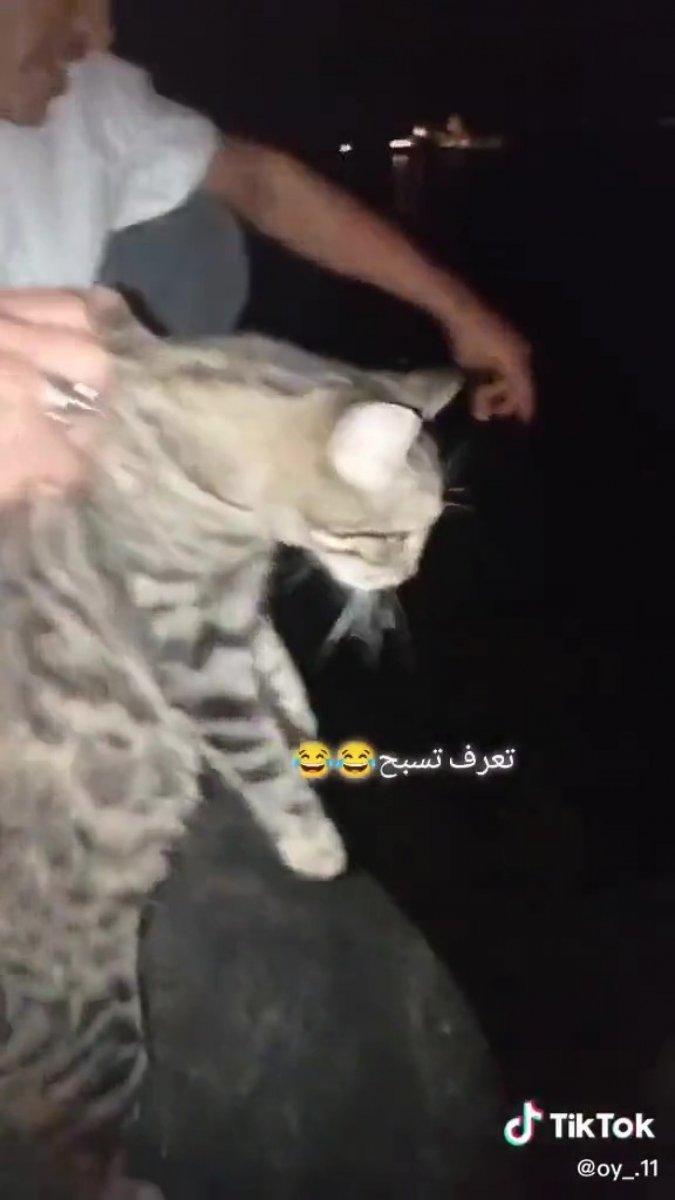 Sakarya’da, kediyi göle atıp video çekenler yakalandı