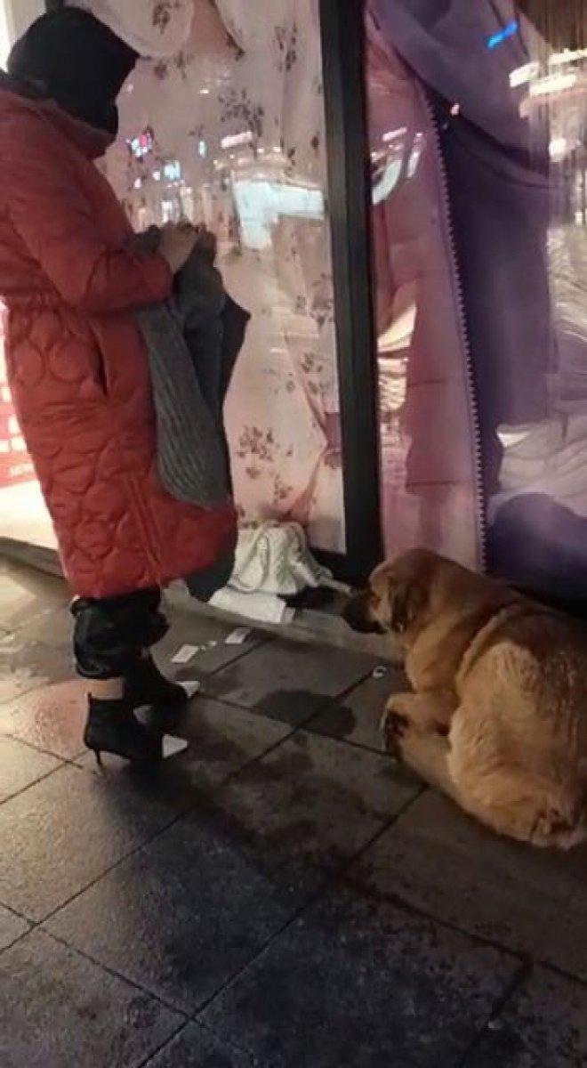 Bolu'daki kadın, üşüyen sokak köpeğini mağazadan giydirdi