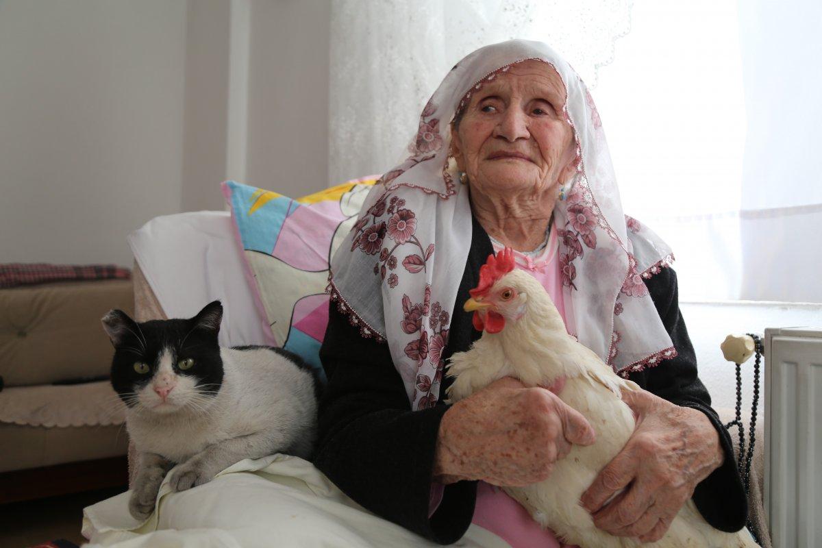 Artvin'de hastalanan annelerine tavukla moral veriyorlar