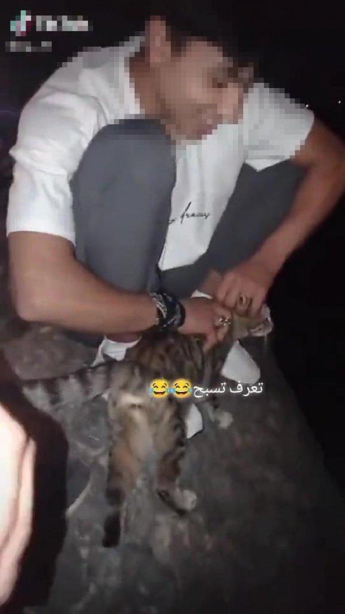 Sakarya’da, kediyi göle atıp video çekenler yakalandı