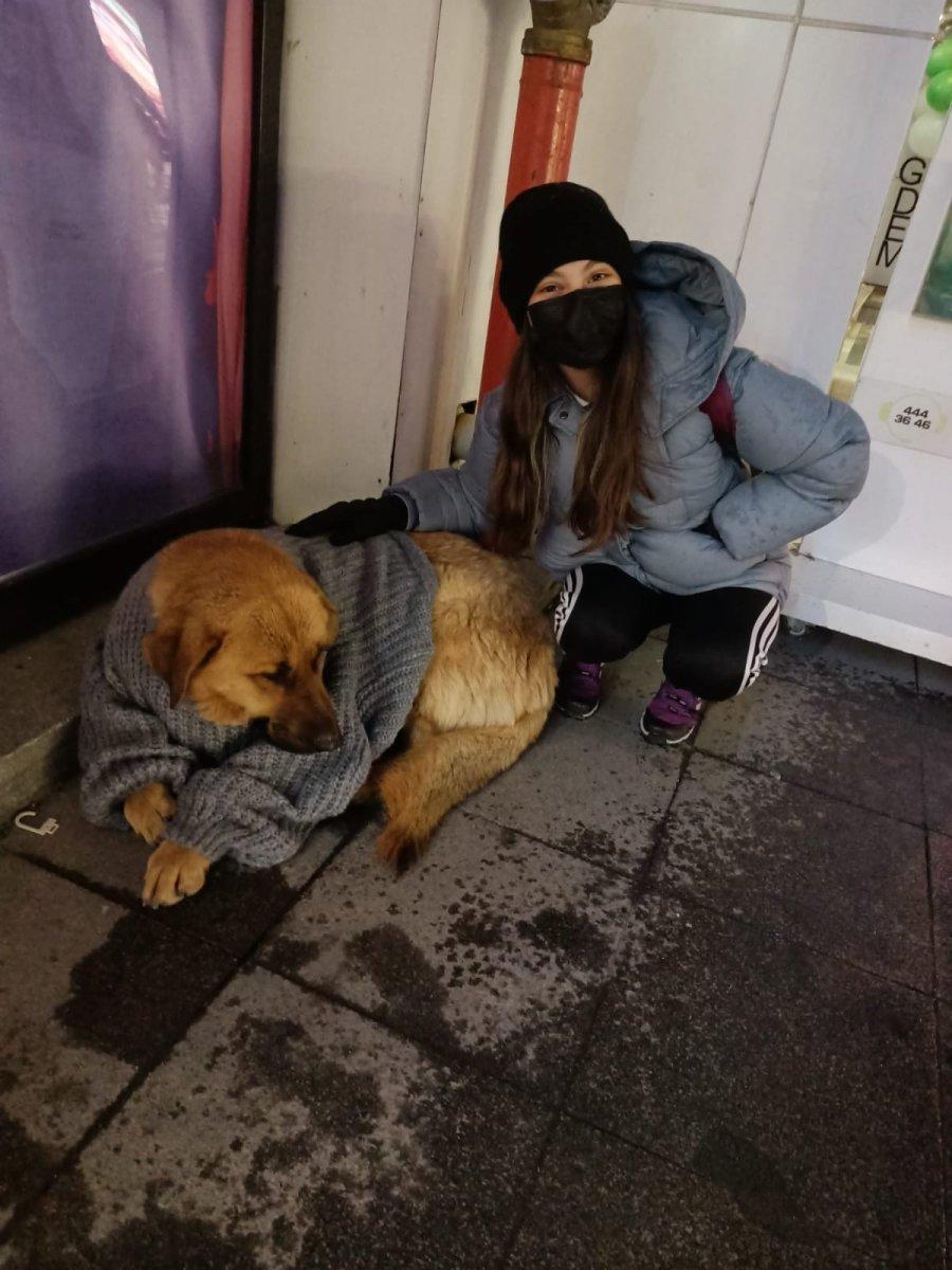 Bolu'daki kadın, üşüyen sokak köpeğini mağazadan giydirdi