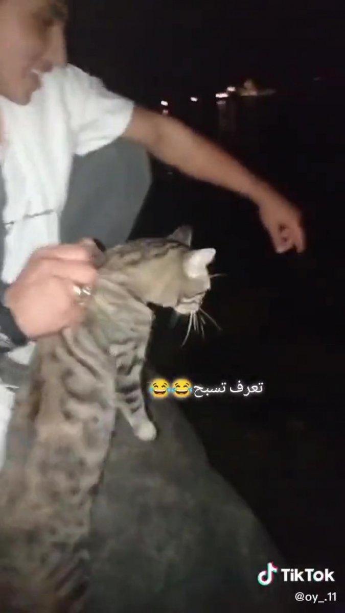 Sakarya’da, kediyi göle atıp video çekenler yakalandı