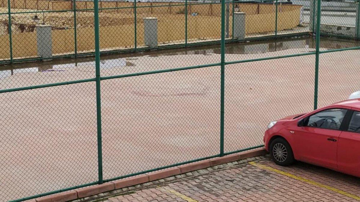 Gaziantep'te iki pitbull 4 yaşındaki kıza saldırdı