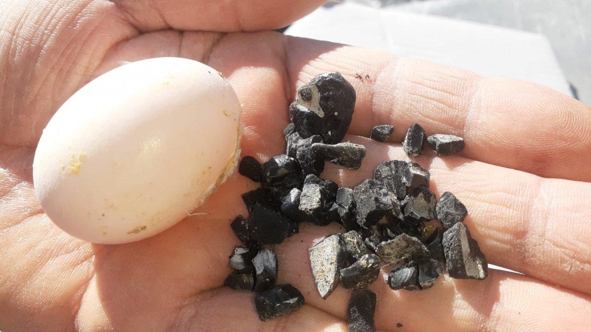 Osmaniye’de yağmur esnasında gökten yumurta büyüklüğünde taş yağdı