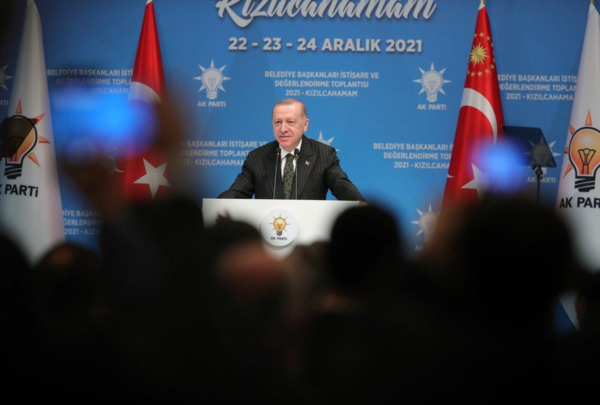 Cumhurbaşkanı Erdoğan'dan belediyelere sokak köpeği talimatı