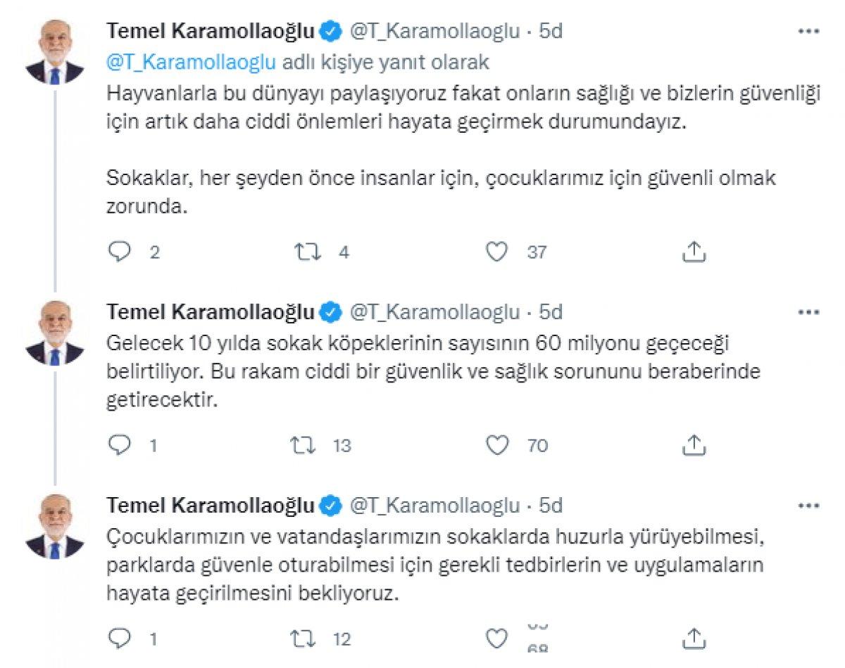 Temel Karamollaoğlu, sokak köpekleriyle ilgili tehlikeye dikkat çekti