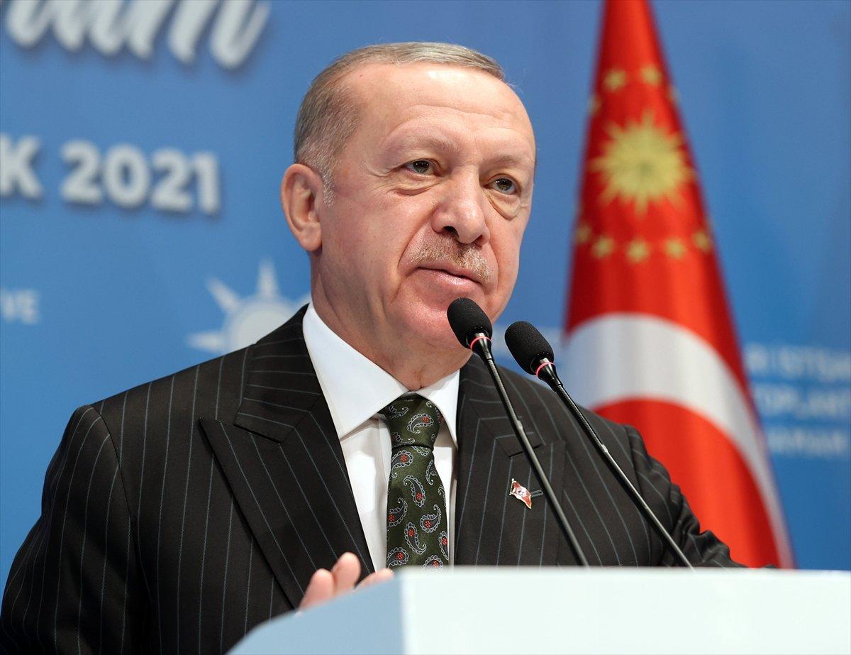 Cumhurbaşkanı Erdoğan'dan belediyelere sokak köpeği talimatı