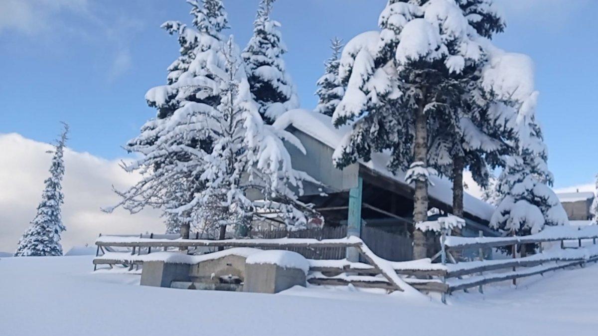 Düzce'deki kar manzarasını gören iki arkadaşın şaşkınlığı