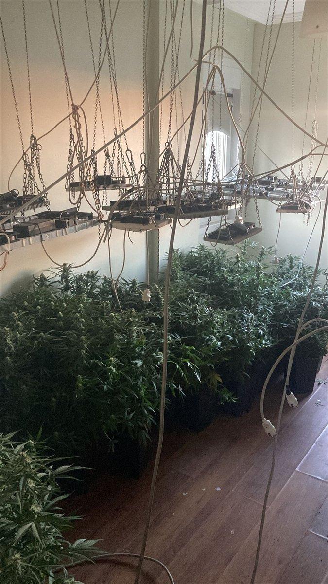 İzmir'de kaçak elektrik kullanılan evde uyuşturucu yetiştirdiler