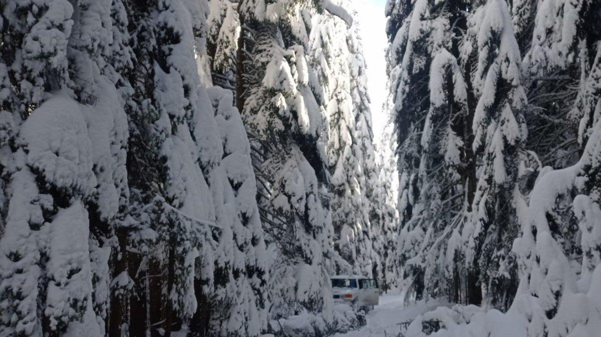 Düzce'deki kar manzarasını gören iki arkadaşın şaşkınlığı