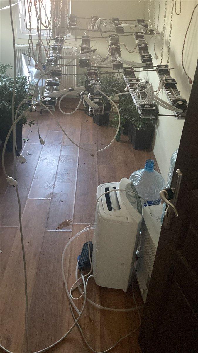 İzmir'de kaçak elektrik kullanılan evde uyuşturucu yetiştirdiler