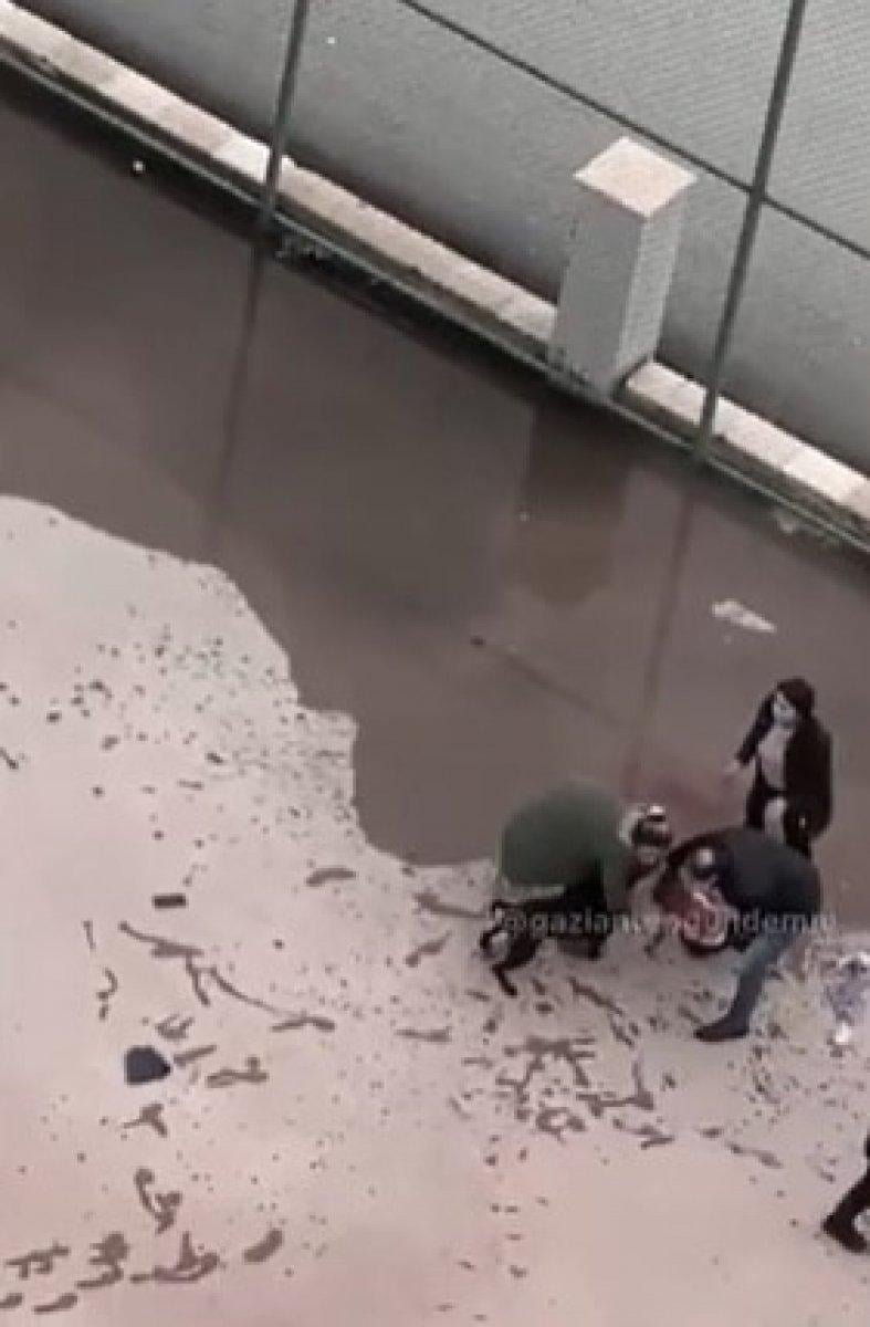 Gaziantep'te pitbullun ısırdığı Asiye'nin doktoru, bilgilendirme yaptı