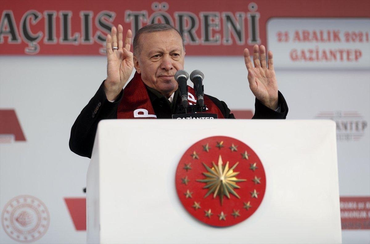 Cumhurbaşkanı Erdoğan, sokak hayvanı talimatını tekrarladı