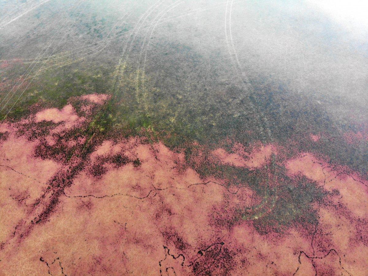 Kızılırmak Deltası'ndan eşsiz görüntüler