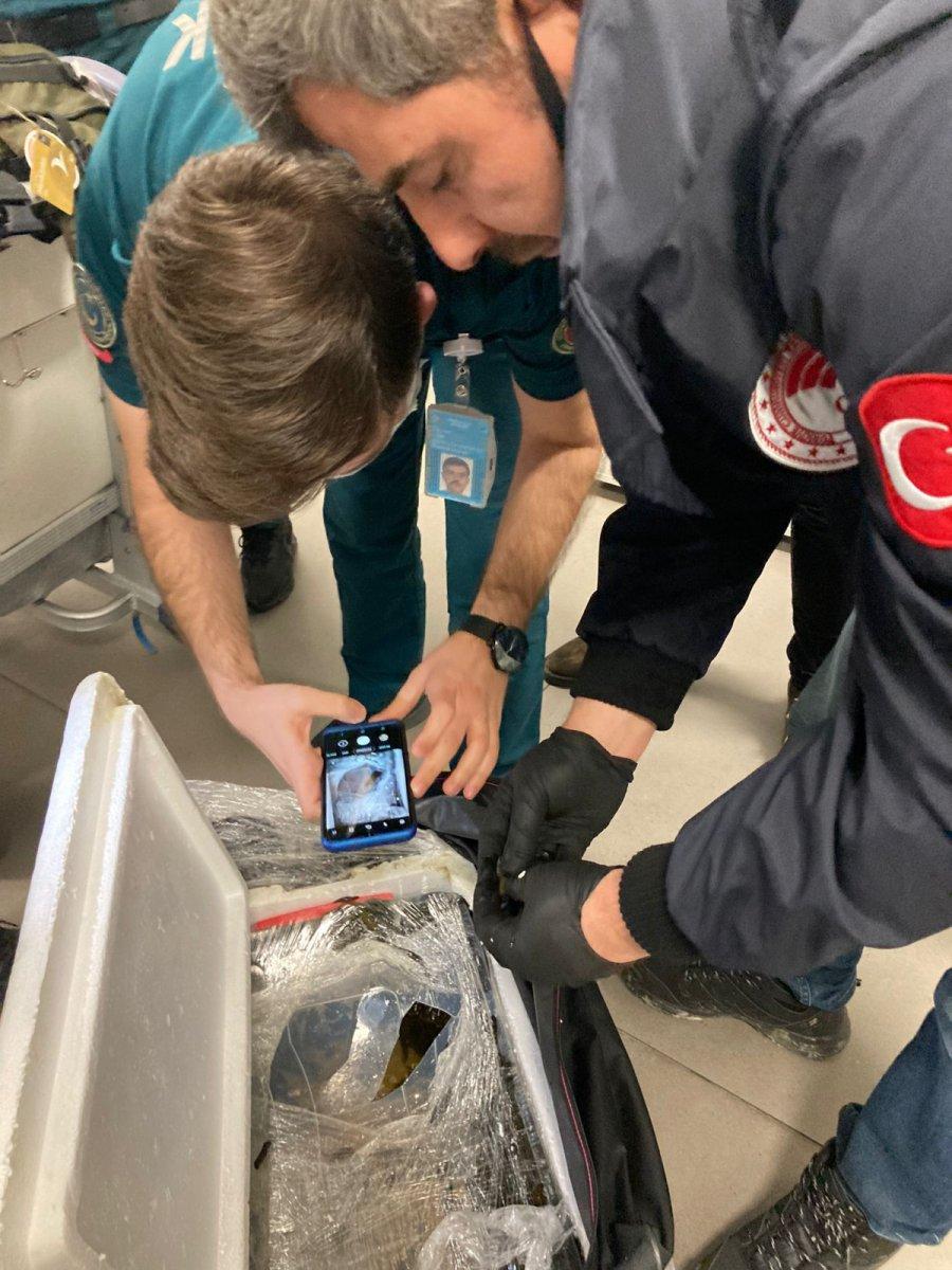 İstanbul Havalimanı'nda 4 bin canlı tıbbi sülük ele geçirildi