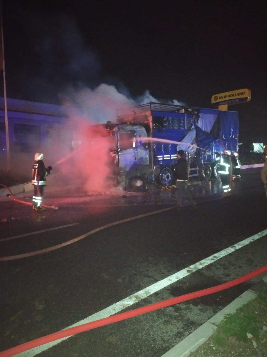 Muğla'da sebze ve meyve yüklü kamyon alev topuna döndü