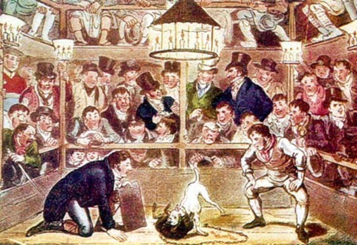 Vakanüvis pitbull ırkını yazdı: Makul köpeklerdi İngilizler çıldırttı