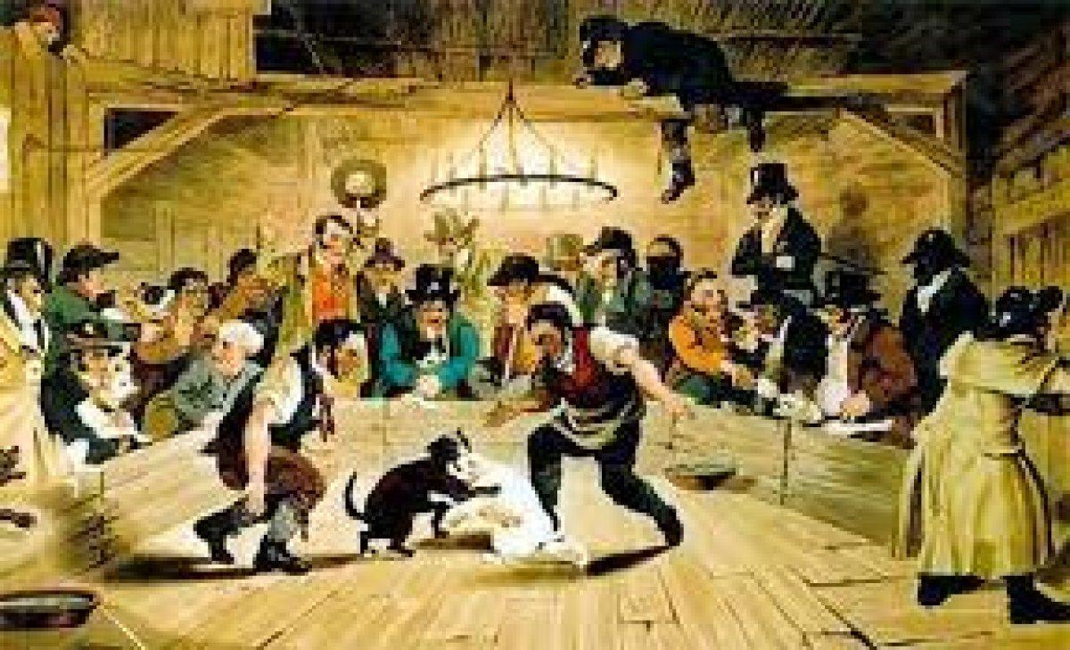 Vakanüvis pitbull ırkını yazdı: Makul köpeklerdi İngilizler çıldırttı