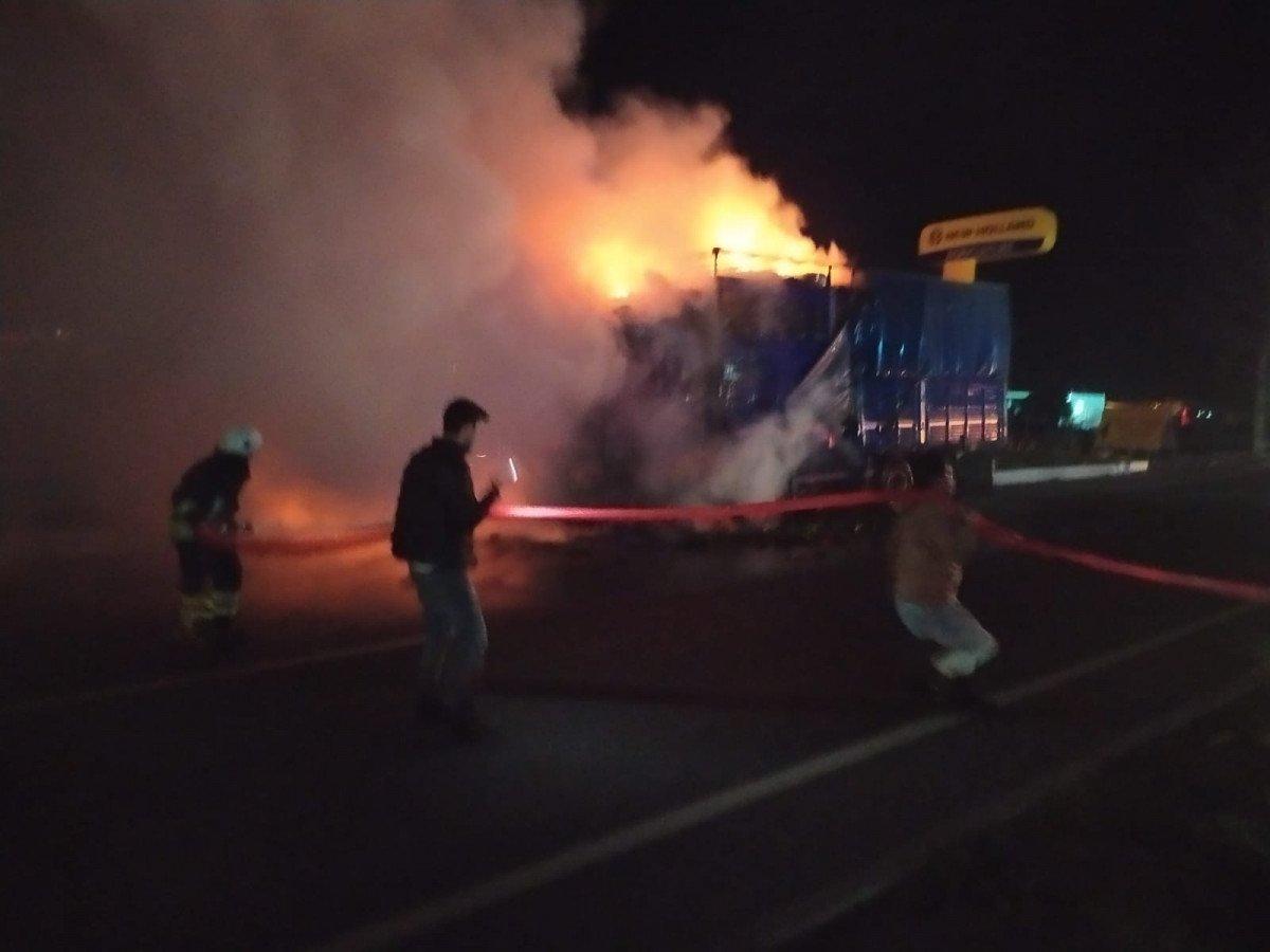 Muğla'da sebze ve meyve yüklü kamyon alev topuna döndü