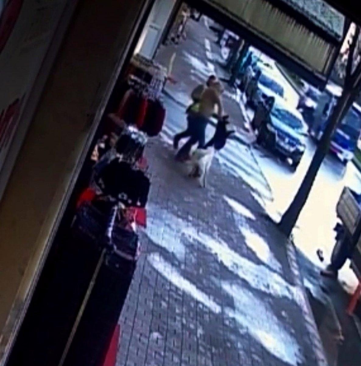 Sakarya’da 3 kişiyi ısıran köpekler, belediye işçisini de ısırdı