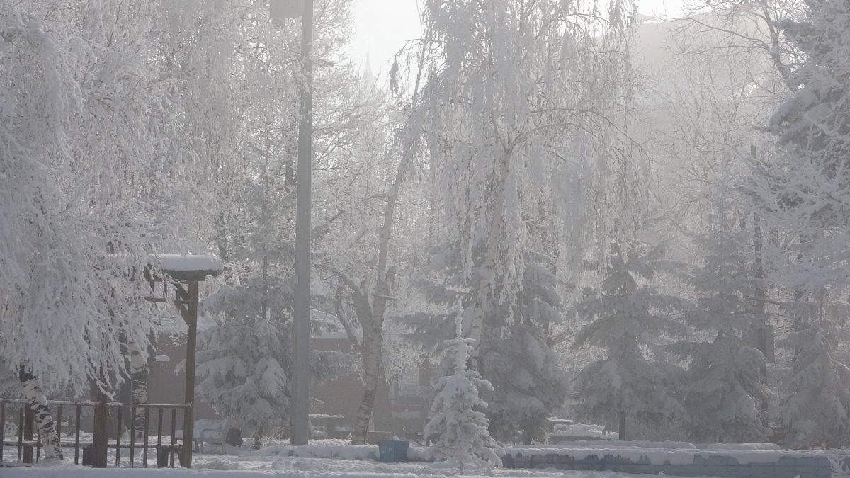 Ardahan'da dondurucu soğuk: Eksi 22 derece