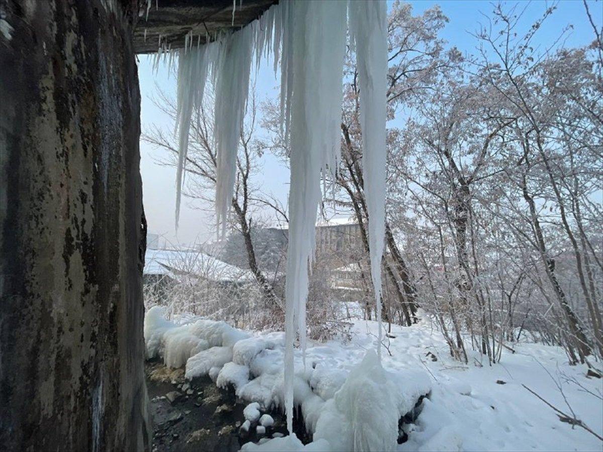Ağrı'da dışarı çıkanların kirpikleri kırağı tuttu