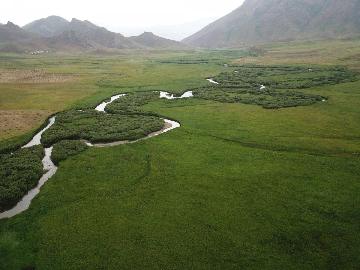 Şırnak’taki Yeşilöz Deresi'nde çekilen görüntüler