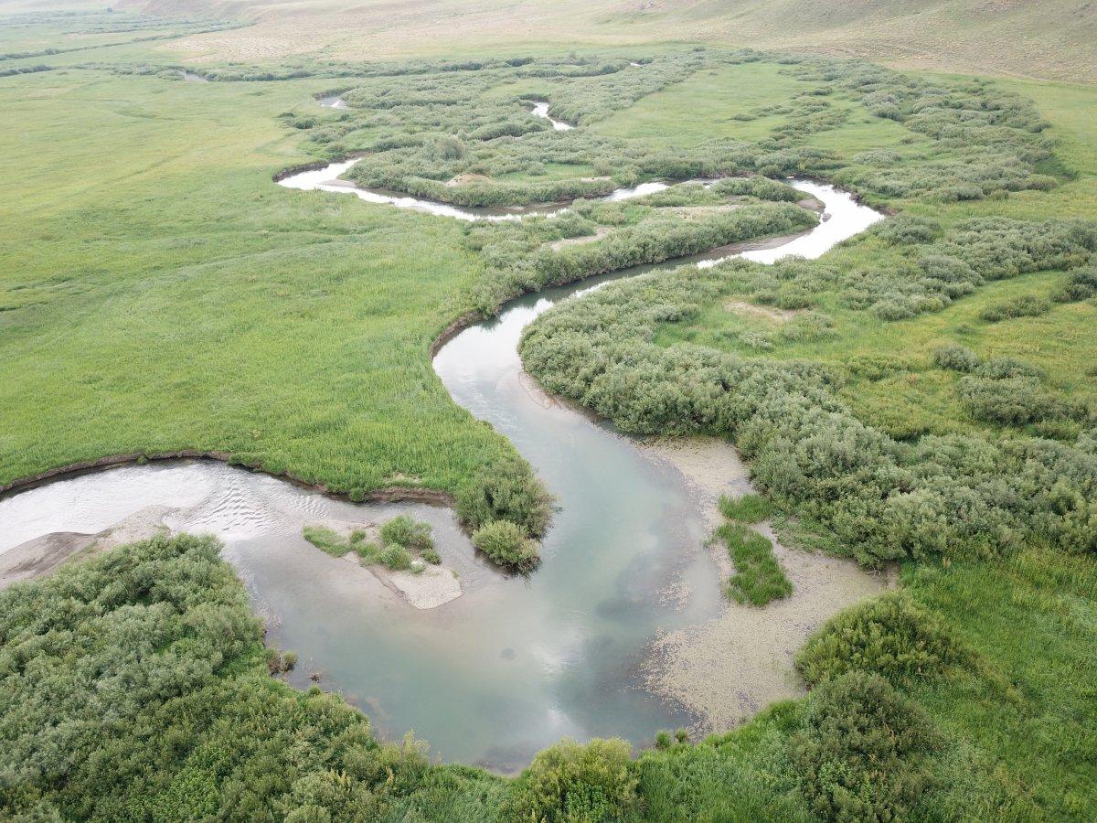 Şırnak’taki Yeşilöz Deresi'nde çekilen görüntüler