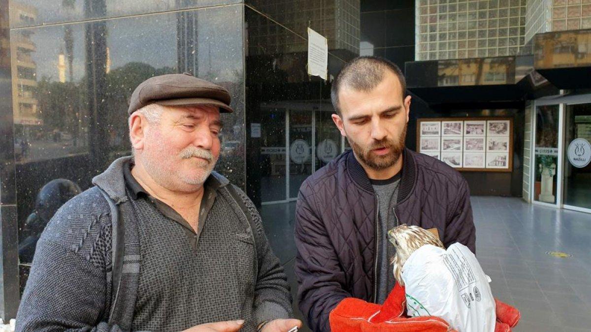 Aydın'da bir kişi bitkin haldeki şahini, Hakkı Bulut'la canlandırdı