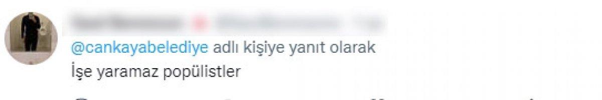 CHP'li belediyelerin sokak köpeklerine desteğine tepki