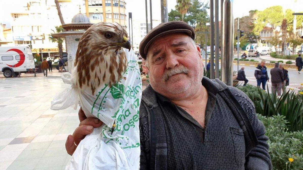 Aydın'da bir kişi bitkin haldeki şahini, Hakkı Bulut'la canlandırdı