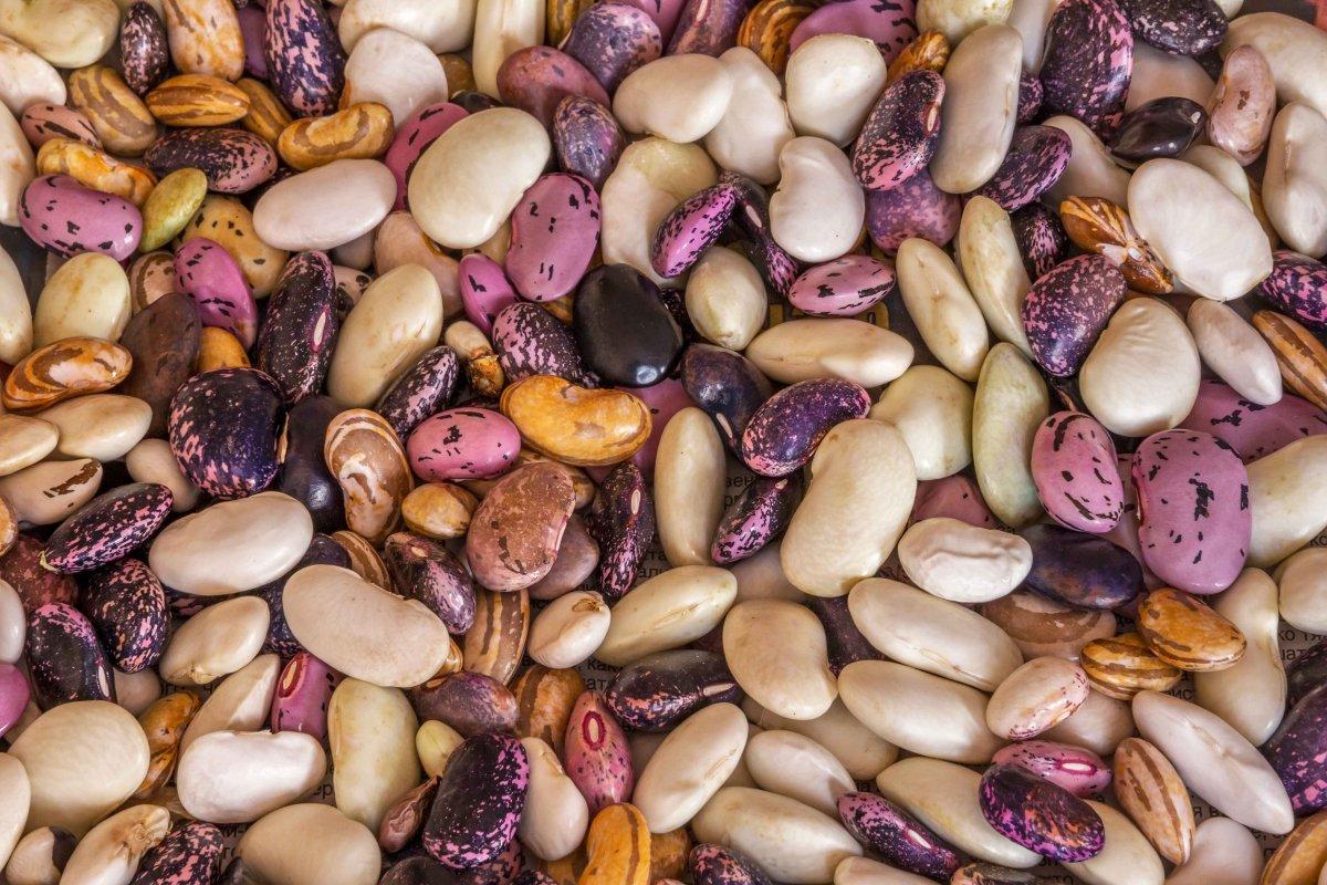 En çok protein içeren 9 bitkisel gıda