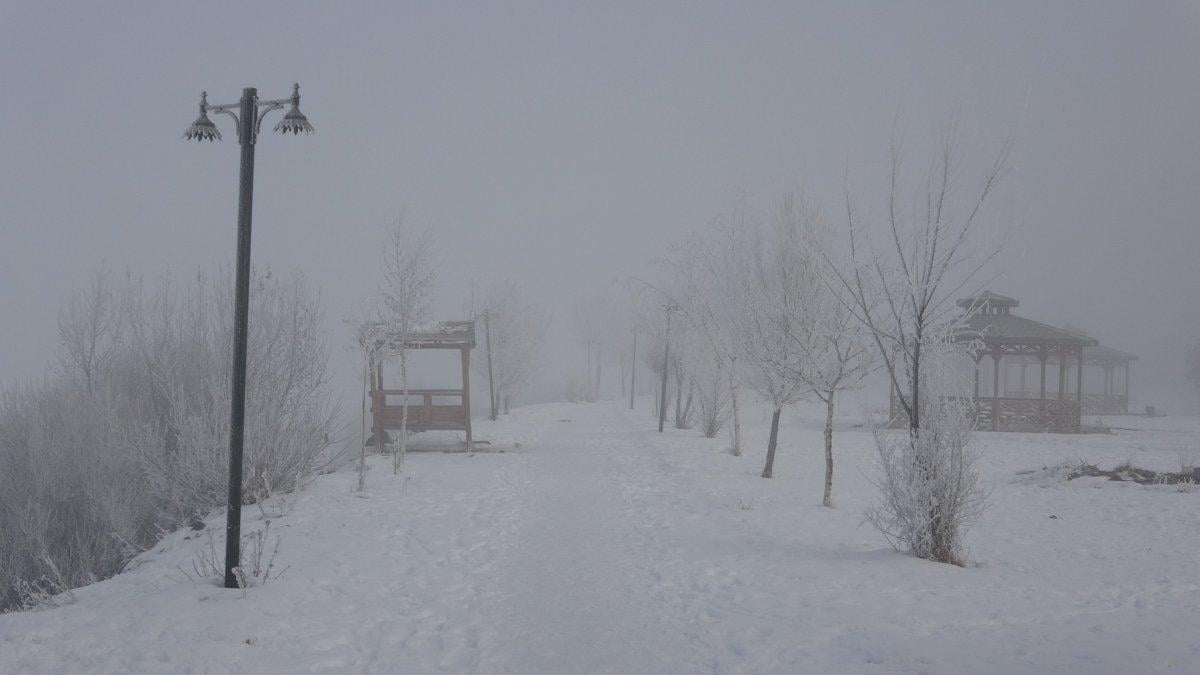 Ağrı ve Ardahan buz tuttu