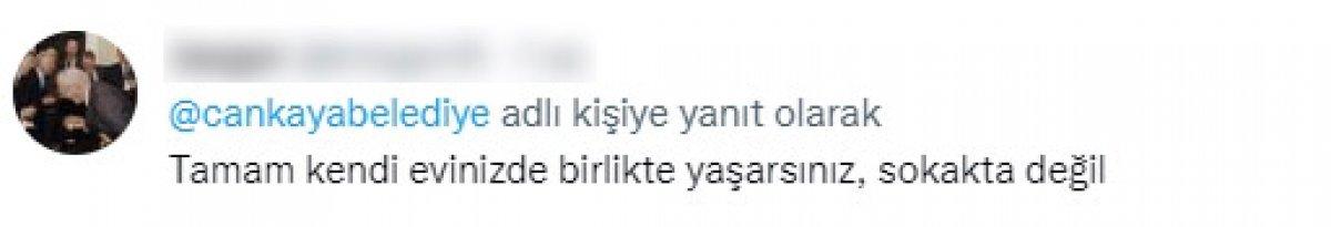 CHP'li belediyelerin sokak köpeklerine desteğine tepki