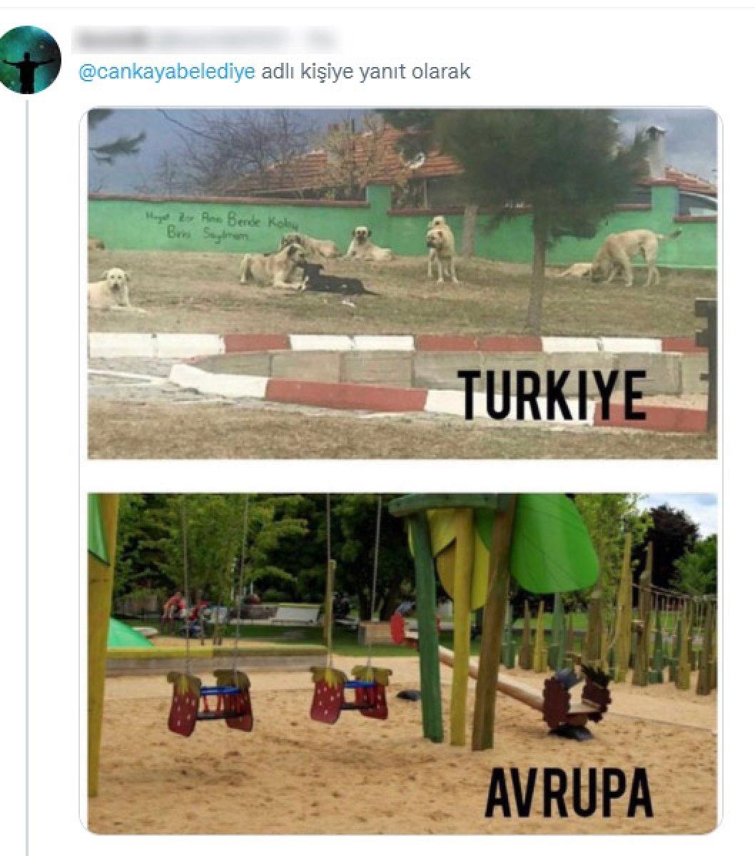 CHP'li belediyelerin sokak köpeklerine desteğine tepki