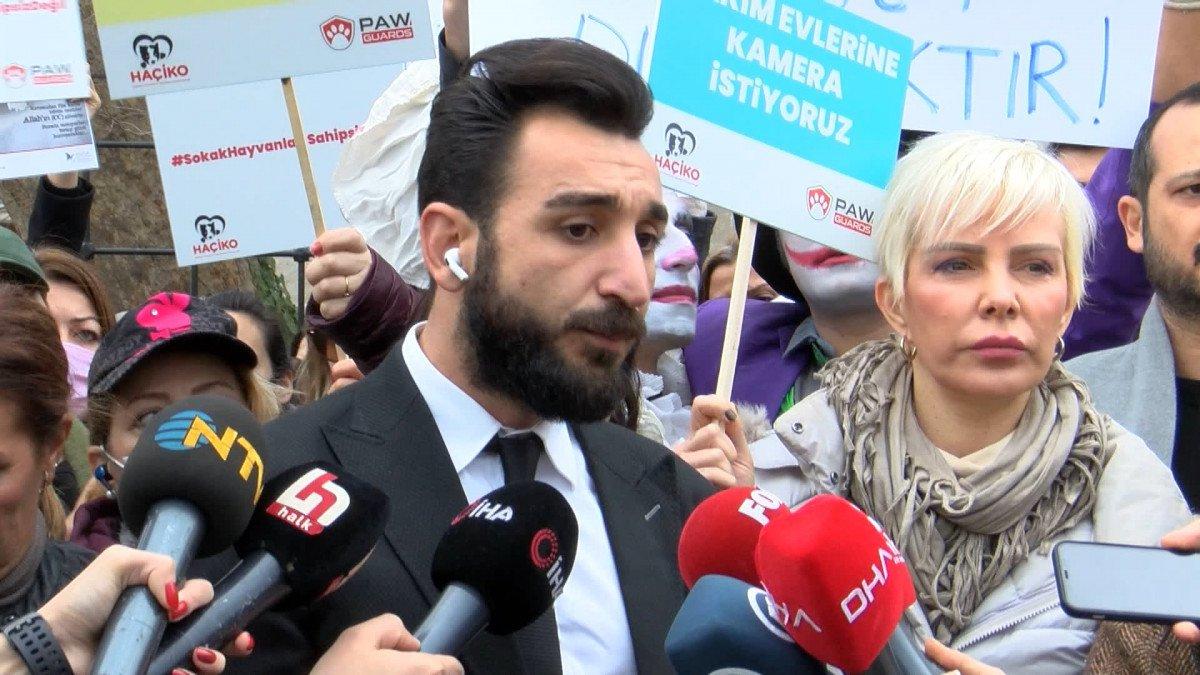 Beşiktaş'ta sokak köpekleri için eylem