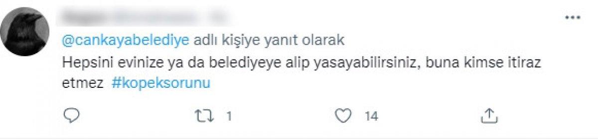 CHP'li belediyelerin sokak köpeklerine desteğine tepki