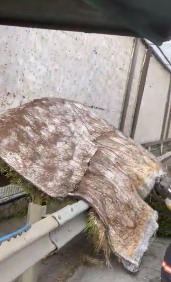 İstanbul'daki ekolojik yeşil duvarlar sökülüyor